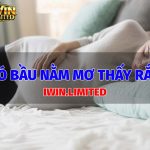 Có bầu nằm mơ thấy rắn là điềm báo gì? Đánh con gì? ba-bau-mo-thay-ran