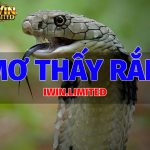mo-thay-ran
