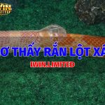 mo-thay-ran-lot-xac