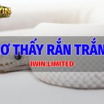 Nằm mơ thấy rắng trắng
