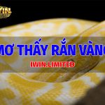 Mơ thấy rắn vàng