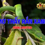 Mơ thấy rắn xanh rắn lục