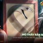 nam-mo-thay-ran-bay-co-y-nghia-gi