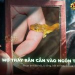 nam-mo-thay-ran-can-ngon-tay-giai-ma