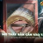 nam-mo-thay-ran-can-tay-giai-ma-diem-bao