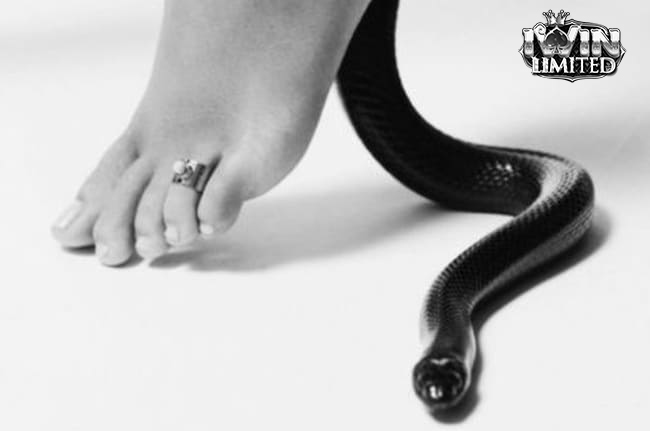 Mơ thấy rắn cắn chân đánh số mấy còn tùy vào chi tiết giấc mơ 