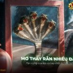 Nằm mơ thấy rắn nhiều đầu có ý nghĩa gì? Đánh số mấy chuẩn? nam-mo-thay-ran-nhieu-dau-co-y-nghia-gi