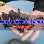 ran-bo-len-nguoi