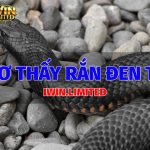 ran-den-to