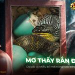 thumb-mo-thay-ran-de
