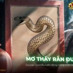 thumb-mo-thay-ran-duoi