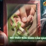 thumb-mo-thay-ran-xanh-can-vao-tay