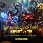 Bật mí top 5 nhà cái cá cược Esport uy tín nhất hiện nay: Chơi ngay!
